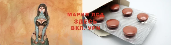 apvp Алзамай