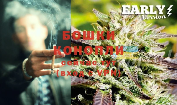 PSILOCYBIN Алексеевка